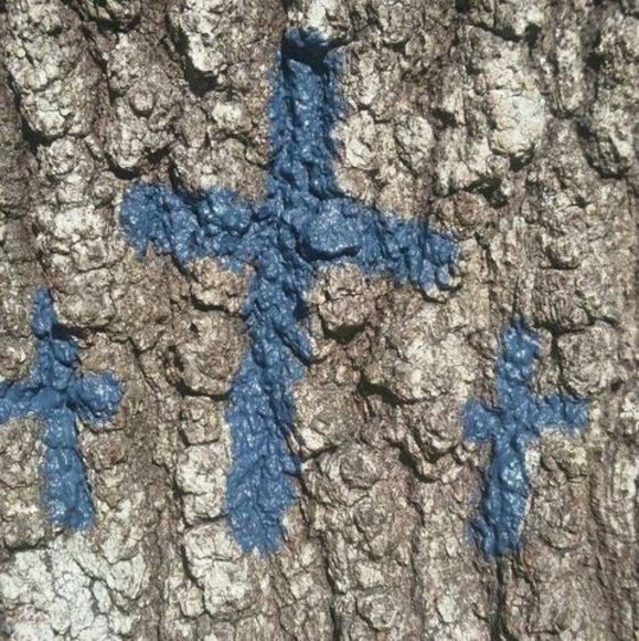 Meet your Posher, Jillian - Picture 1 of 1